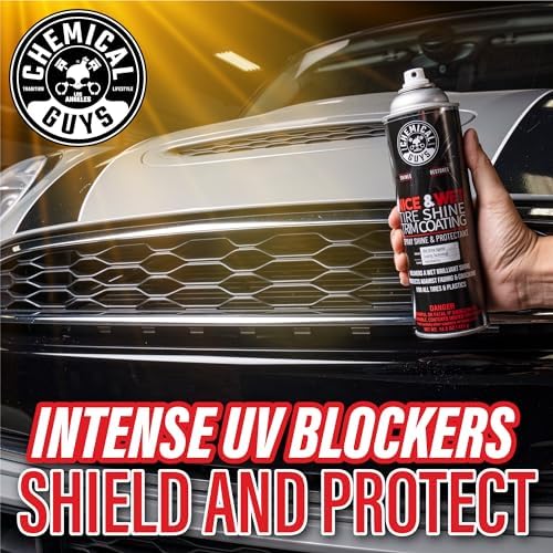 Nice & Wet Aerosol Tire Shine, High Gloss Black Spray, 2 Pk