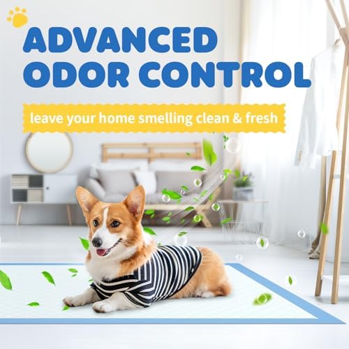 Puppy Pads for Dogs, 34 x 28 in, 6-Layer, Leak-Proof, 100-Pack