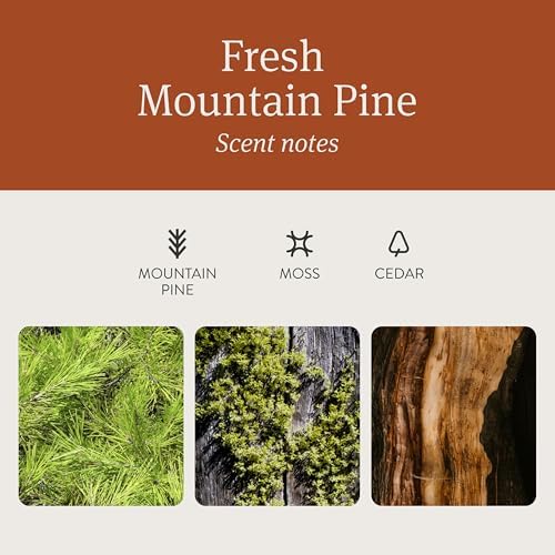 Car Air Freshener - The Original Wood Air Freshener - Car Odor Eliminator - Long Lasting Scent - Metal Clip - Essential Oils - Clean Ingredients - Pine Scent 3 Pack Refill - NO CLIP INCLUDED