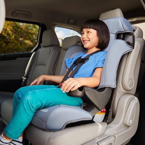 Kids Finale DX 2-in-1 Booster Car Seat, Forward Facing Toddler Car Seat (40-65 lbs) and Belt Positioning High Back Booster (40-100 lbs), Organic Waves