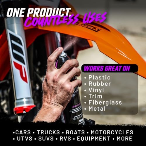 Shine & Protectant High Gloss Coating Spray (3-Pack)