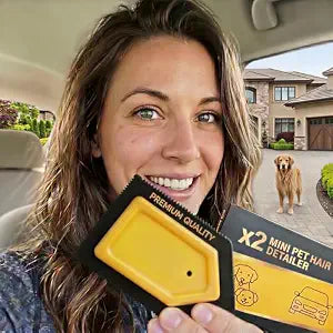 PACK of 2x Mini Pet Hair Detailer for Car Interior, Dog Hair Remover for Auto Detailing Supplies (Carpet,Seat...)