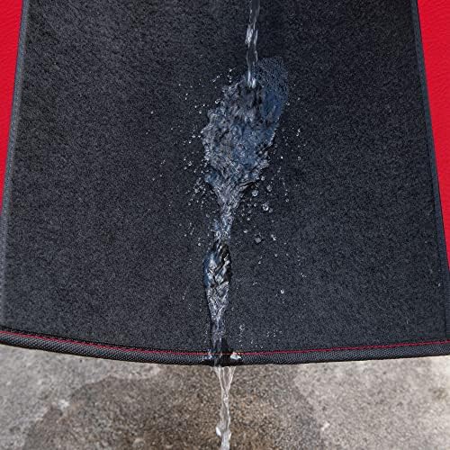 Rainbow Waterproof Universal Fit Faux Leather Car Carpet- Anti-Slip Nibbed Backing Floor Mats for SUV, Vans,Sedans,Trucks, Automotive Set of 4 for Women (Black with Red)