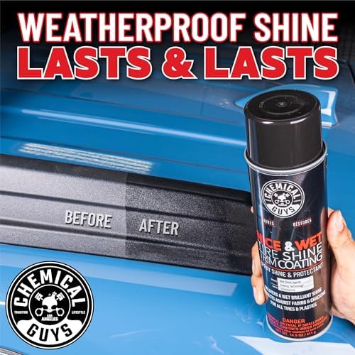 Nice & Wet Aerosol Tire Shine, High Gloss Black Spray, 2 Pk