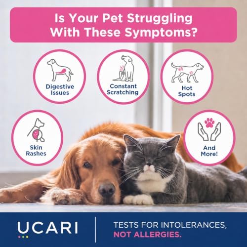 Pet Intolerances Insight Kit | Fur Analysis for Dogs & Cats | Screens 1100+ Intolerances: Foods, Ingredients, Nutritional & Environmental Items & Pet Care Products | At-Home Fur Sample Test Kit