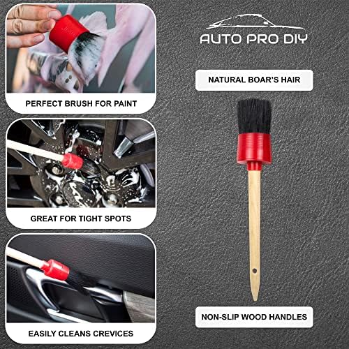 11 Piece Car Detailing Kit Set - Car Wheels, Exterior, Interior Cleaning Detail Supplies - Boars Hair, Stainless Steel Wire, Duster Brushes