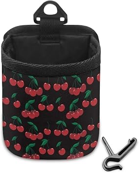 Cherry Pattern Car Air Vent Storage Bag with Hook Car Mount Pouch Coin Case Sunglasses Phone Holder Car Air Vent Organiz