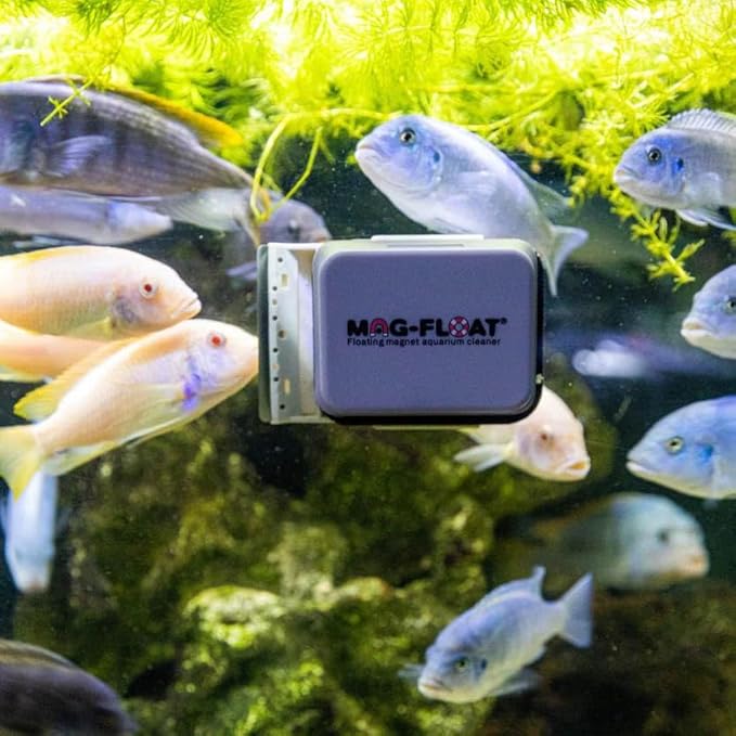 Mag-Float Mini 25 Cleaner for Glass & Acrylic Tanks| Magfloat Magnetic Betta Fish Tank Cleaner | Magnet Cleaning Tool for Aquarium Scrubber Brush Cleaning Tool