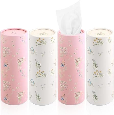 4PCS Car Tissue Holder,Extractable Portable Car Tissue Cylinder for Storing Each Box 50 Tissues,Fashionable Reusable Tis