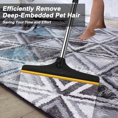 Carpet Rake for Pet Hair Removal, Reusable Carpet Scraper Broom