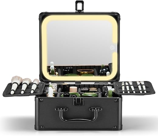 Qislee Makeup Box with Detachable Magnetic LED Mirror, Travel Train Case