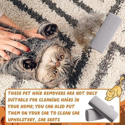 6 Pcs Pet Hair Remover Rock Pumice Stone, 6.1 x 2.56 x 1.4 Inch, Gray