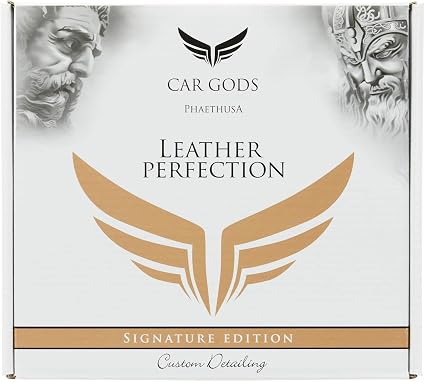 Car Gods Leather Perfection Kit, 4 fl oz