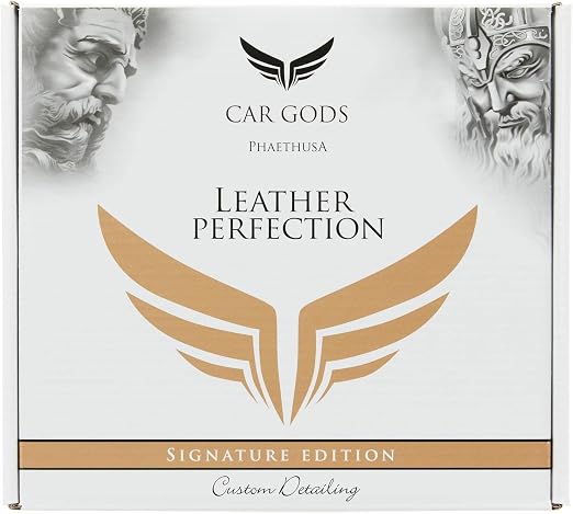 Car Gods Leather Perfection Kit, 4 fl oz