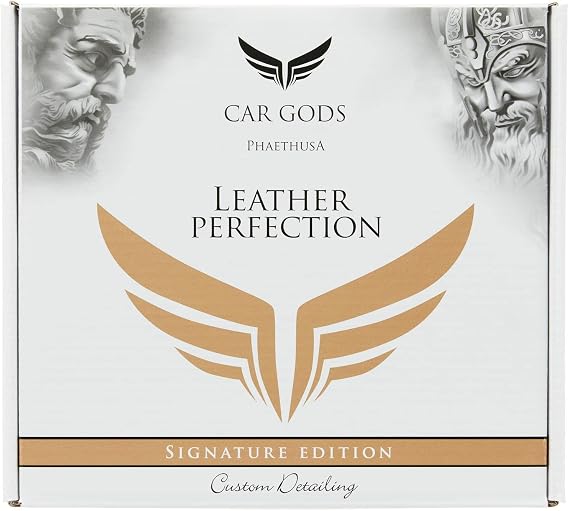 Car Gods Leather Perfection Kit, 4 fl oz