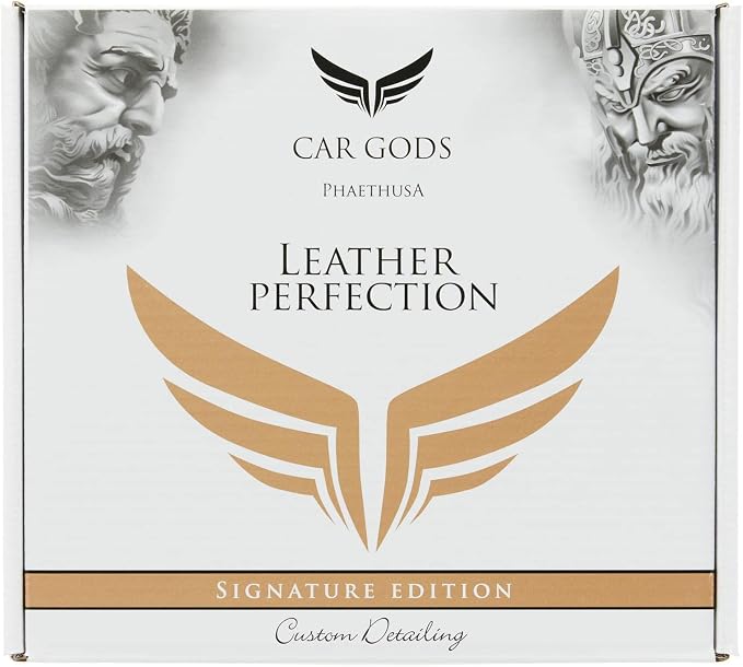 Car Gods Leather Perfection Kit, 4 fl oz