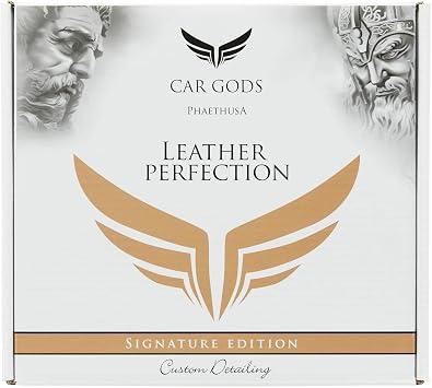 Car Gods Leather Perfection Kit, 4 fl oz