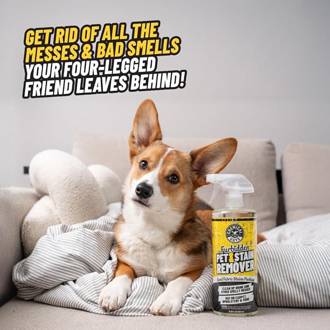 Chemical Guys Furbidden Pet Stain Remover for Car & Home, Carpet & Upholstery Cleaner, Eliminates Pet Odors & Stains from Urine & Vomit, Multi-Surface Pet Odor Neutralizer - 16 oz