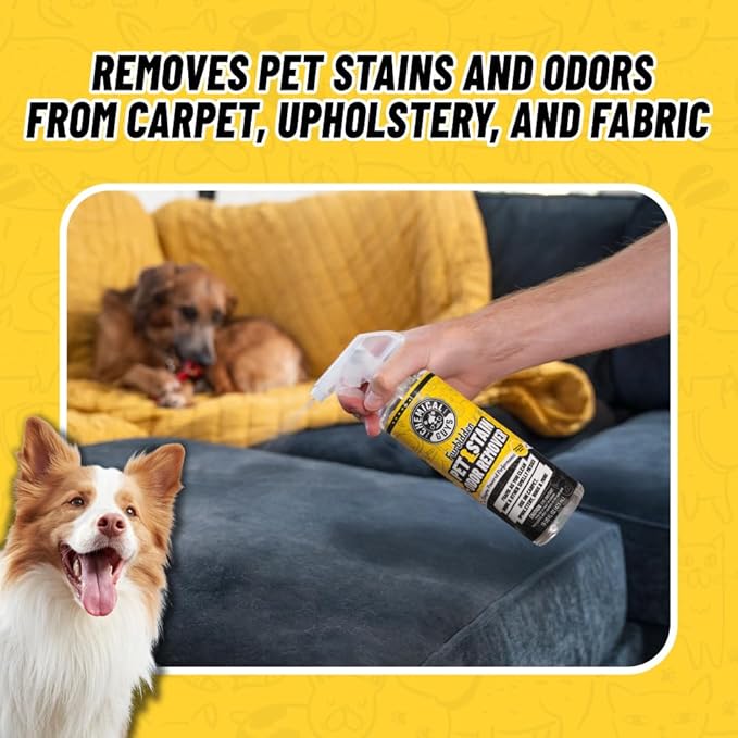 Chemical Guys Pet Mess Cleaning Kit, Furbidden Odor Eliminator 16 oz with Interior Detailing Brush Cleans, Pet Smells, Hair and Light Dirt for Cars Trucks SUVs Home Interiors and Upholstery Care