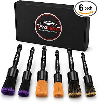 6PCS Car Detailing Brush Set - 2 Boar Hair Brushes, 2 Ultra Soft No-Scratch Brushes & 2 Medium Detail Brushes for Car In