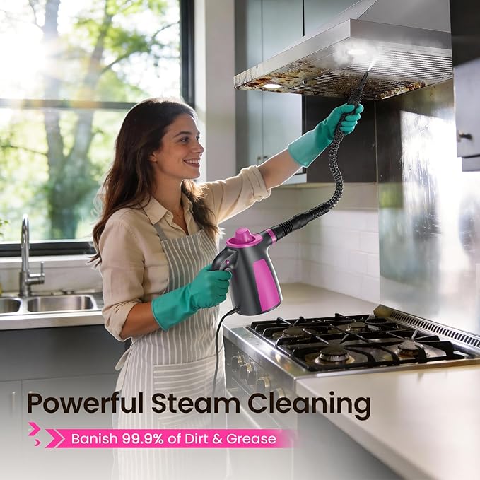 LABIGO Steam Cleaner, Pressurized Handheld Multi-Surface Natural Steam Cleaner with 12pcs Accessory & Safety Lock, Portable Steamer for Cleaning Home, Kitchen, Bathroom, Car, Upholstery, Grout, Window