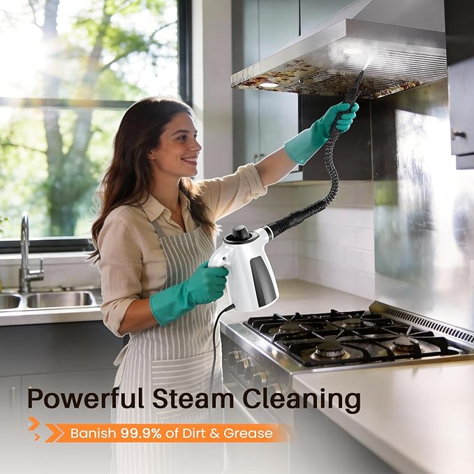 LABIGO Steam Cleaner, Pressurized Handheld Multi-Surface Natural Steam Cleaner with 12pcs Accessory & Safety Lock, Portable Steamer for Cleaning Home, Kitchen, Bathroom, Car, Upholstery, Grout, Window