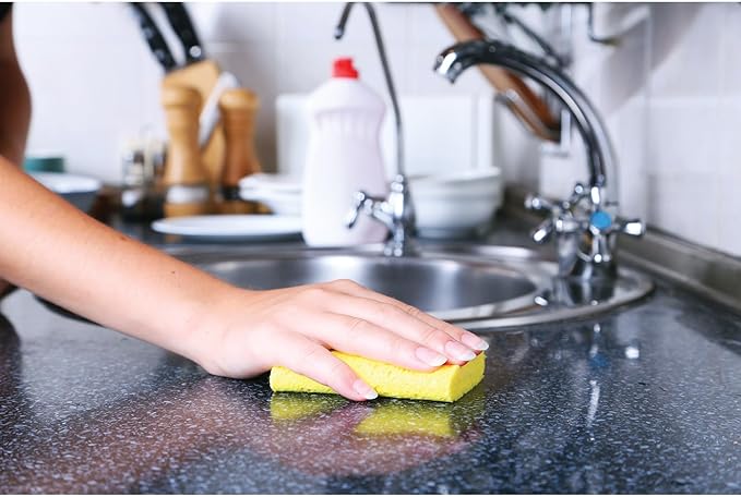 HIC Kitchen Pop-Up Sponges, Rectangular, Natural Vegetable Cellulose, Set of 4