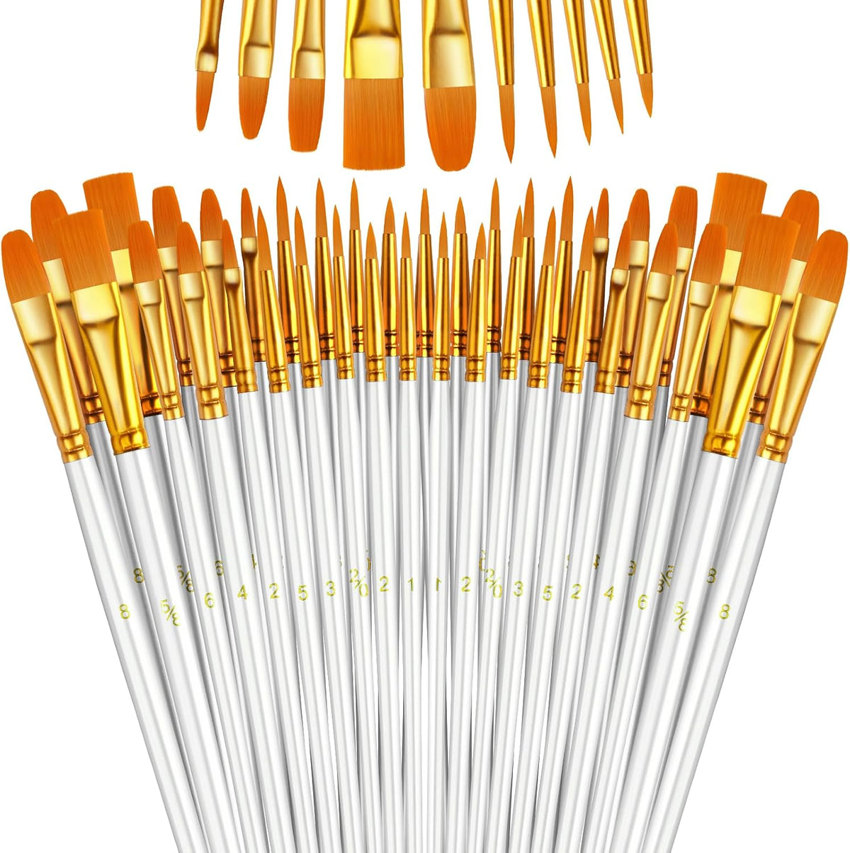 Paint Brushes Set, 24 Pack 240 Pcs Round-Pointed Tip Paintbrushes Nylon Hair Artist Acrylic Paint Brushes for Acrylic Oil Watercolor, Face Nail Art, Miniature Detailing & Rock Painting, White
