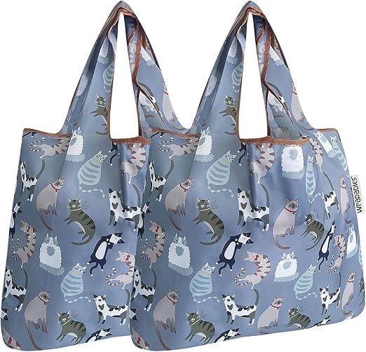 allydrew Foldable Tote Nylon Reusable Grocery Bag (Set of 2), Cool Felines