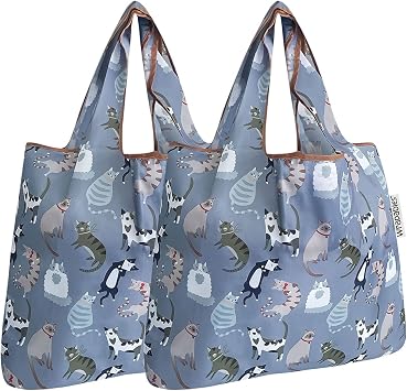 allydrew Foldable Tote Nylon Reusable Grocery Bag (Set of 2), Cool Felines