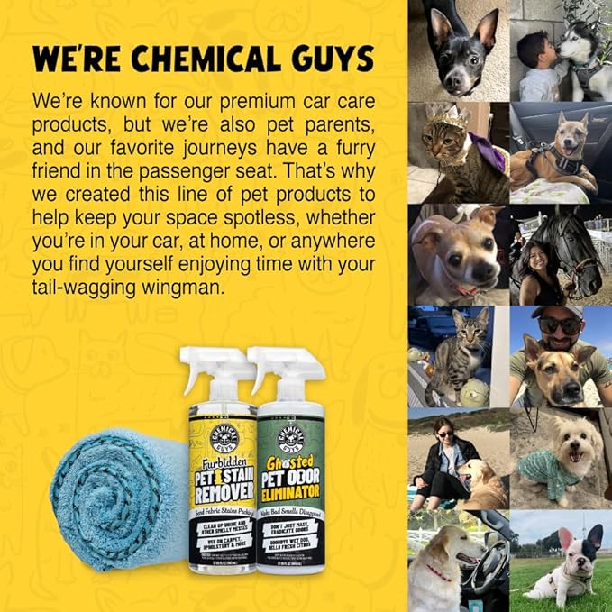 Chemical Guys Furbidden Pet Stain Remover for Car & Home, Carpet & Upholstery Cleaner, Eliminates Pet Odors & Stains from Urine & Vomit, Multi-Surface Pet Odor Neutralizer - 16 oz