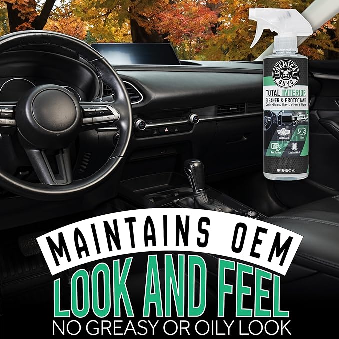 Chemical Guys SPI23416 Total Interior Cleaner and Protectant, New Car Smell, (Safe for Cars, Trucks, SUVs, Jeeps, RVs & More) 16 fl oz (Pack of 2)