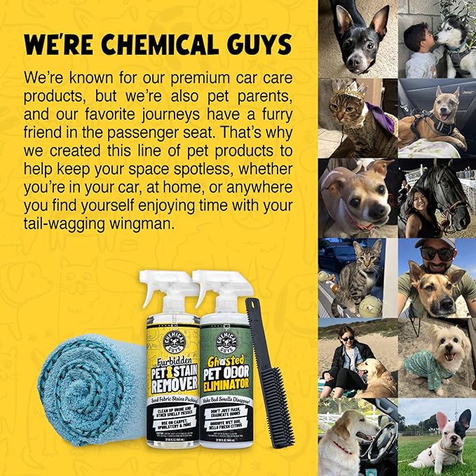 Chemical Guys Professional Rubber Pet Hair Removal Brush – Multi Surface Detailing&Pet Hair Removal Tool for Cars,Trucks,SUVs,RVs&Home – Removes Lint and Debris from Upholstery and Carpet,(Pack of 12)
