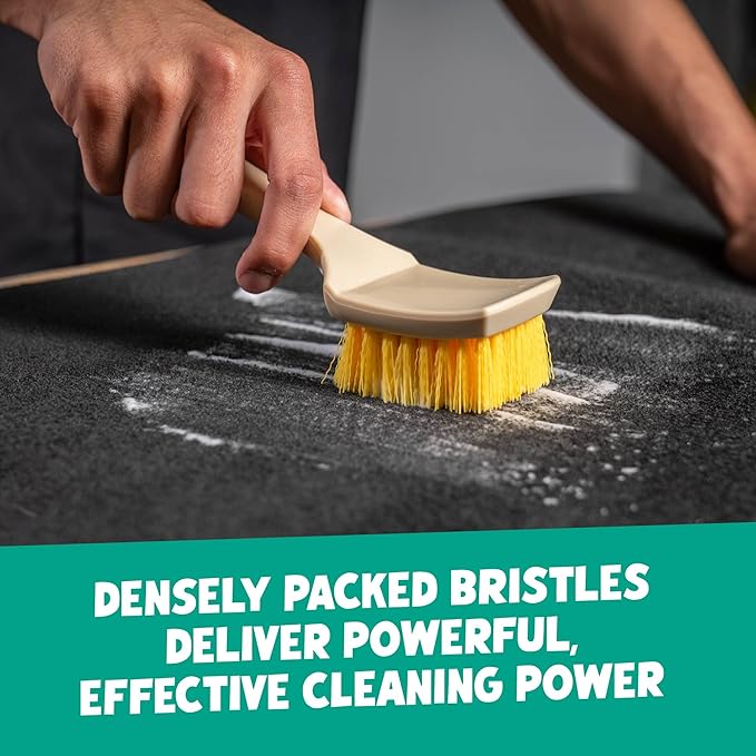 Chemical Guys Induro 7 Heavy Duty Interior Carpet&Upholstery Detailing Brush – Durable Bristles,Car Carpet Brush for Deep Cleaning Fabric,Mats&Seats,Ergonomic Grip for Comfort and Control,(Pack of 12)