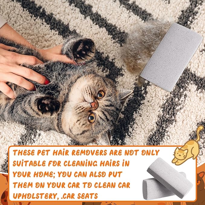 Abbylike 6 Pcs Pet Hair Remover Pumice Stone Reusable Portable Dog Cat Hair Removal Tool Scraper for Carpet,Couch, Bedding, Car Upholstery, Furniture Cleaning (3.74 x 1.97 x 1.38 Inch,Gray)