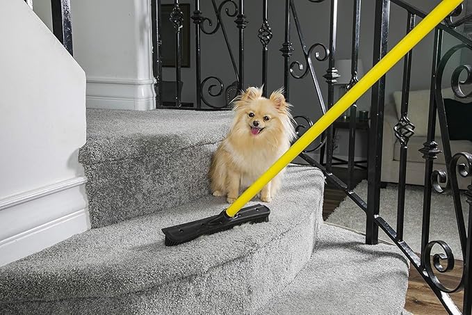 FURemover Pet Hair Removal Rubber Broom, 58" Telescopic Handle with Lint Brush