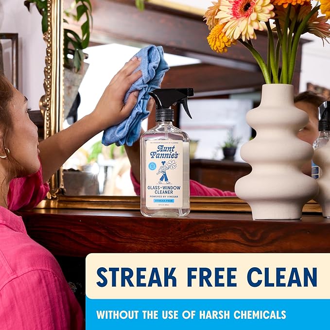 Aunt Fannie's Glass & Window Cleaning Bundle, Vinegar Spray and Wipes, Natural Streak-Free Spray, Pack of 3