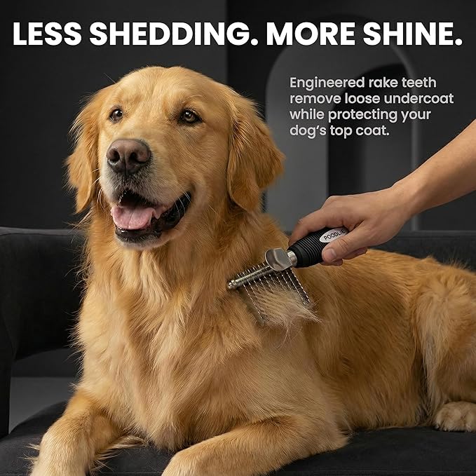 Poodle Dematting Fur Rake Comb Brush for Dogs and Cats - Long 2.5" Steel Safety Blades Metal Comb for Detangling Matted or Knotted Undercoat Hair