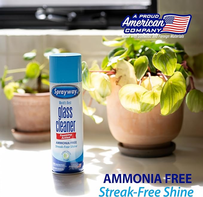 Sprayway Glass Cleaner Foaming Aerosol Spray, 19oz, Pack of 2 | Ammonia-Free, Streakless, Fast-Acting | Cleans & Polishes Glass Surfaces | Fresh Scent, Removes Fingerprints, Dust, Dirt, Smoke Film