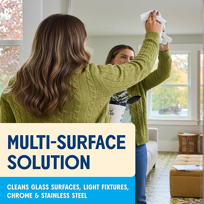 Aunt Fannie's Glass & Window Cleaning Wipes, Natural Streak-Free Glass Cleaner, 35 Count (Pack of 1)