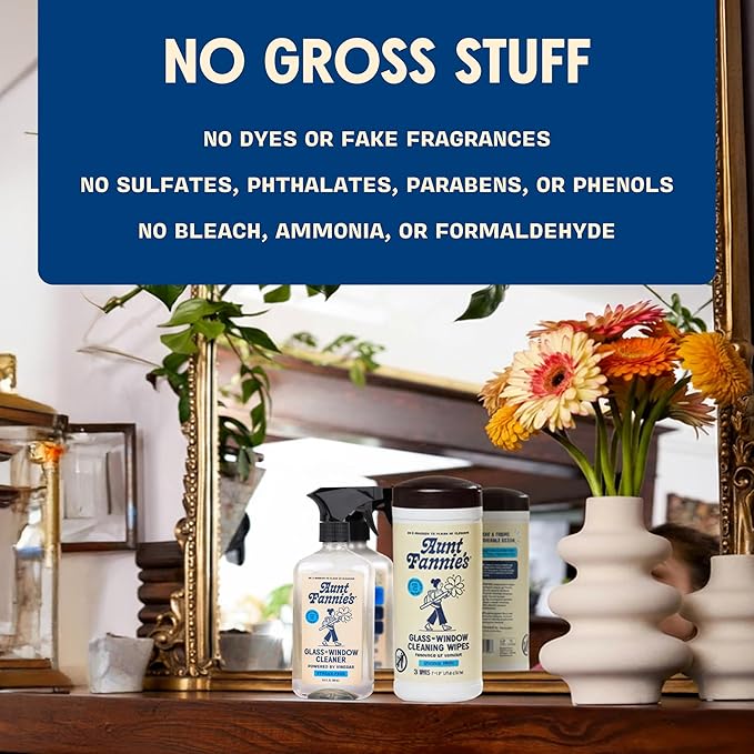 Aunt Fannie's Glass & Window Cleaning Bundle, Vinegar Spray and Wipes, Natural Streak-Free Spray, Pack of 3