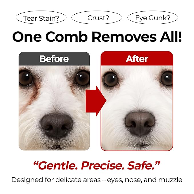JAYU PET Facial Grooming Comb - Dog Eye Combs, Stress-free Eye Gunk Remover for Dogs & Cats, Pet Facial Brush, Cat Grooming Kit, Stainless Steel Deshedding Comb (1ea)