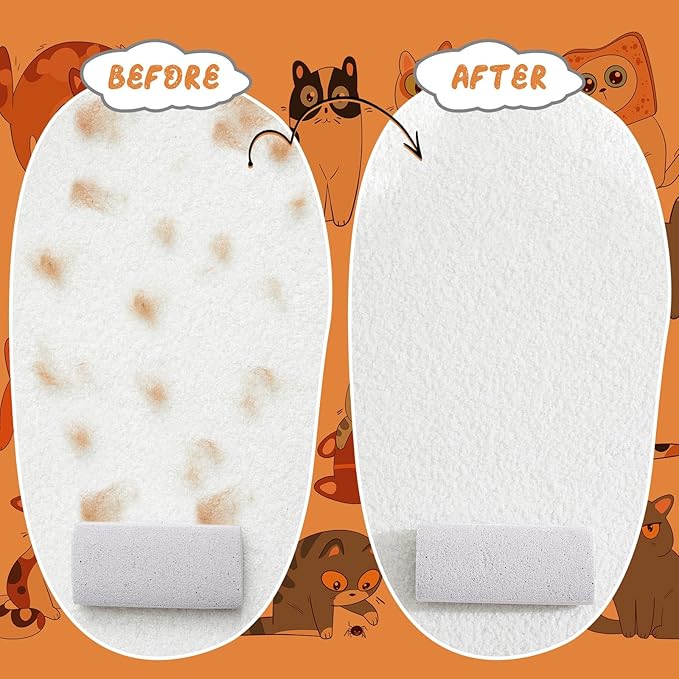 Abbylike 6 Pcs Pet Hair Remover Pumice Stone Reusable Portable Dog Cat Hair Removal Tool Scraper for Carpet,Couch, Bedding, Car Upholstery, Furniture Cleaning (3.74 x 1.97 x 1.38 Inch,Gray)