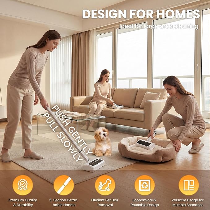 Carpet Rake Electric Rechargeable for Pet Hair Removal 5X Efficient and Quiet Cat Dog Hair Remover for Carpet, Rugs, Mats