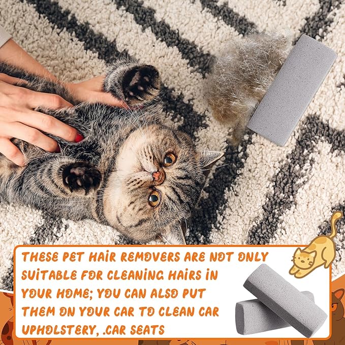 Abbylike 3 Pcs Pet Hair Remover Pumice Stone Reusable Portable Dog Cat Hair Removal Tool Scraper for Carpet,Couch, Bedding, Car Upholstery, Furniture Cleaning (5.3 x 2 x 1.4 Inch,Gray)