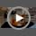 2-Pack Extra Large Reusable Dog Mat for Floor, Waterproof Dog Playpen, Super Absorbent Washable Pee Pads for Dogs, Pet Whelping Mat, Potty Training - 36" x 72"