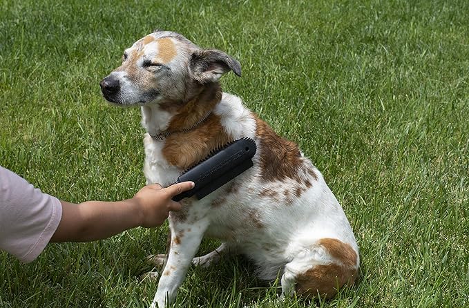 FURemover Plus Pet Hair Rubber Brush with Squeegee, Easily Remove Fur & Lint from Clothing, Carpets & Furniture, Gently Groom Dogs and Cats Wet or Dry, Black, (Pack of 12)