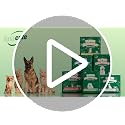 Puppy Pads 22"x23" 100 Count | 6-Layer Leak-Proof & Super Absorbent Dog Training Pads | Disposable Potty Pads for Puppies, Dogs, Cats & Rabbits | Blue & White