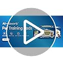 All-Absorb, X-Large 28" x 34", 40 Count, Dog and Puppy Training Pads, Ultra Absorbent and Odor Eliminating, Leak-Proof 5-Layer Potty Training Pads with Quick-Dry Surface, Blue